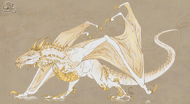 Golden Meleys Sketch