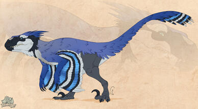 Raptor Design