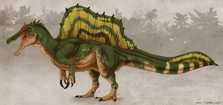 Spino Design