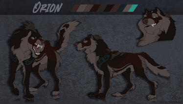 Orion Sheet